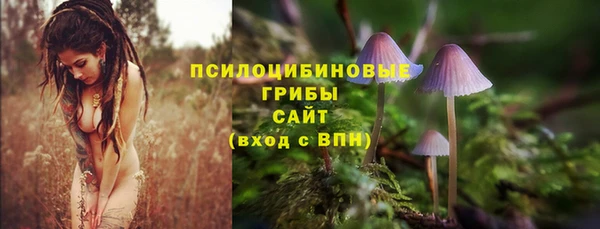 спайс Киров