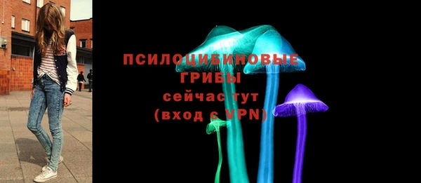 сатива Козловка