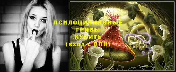 гашишное масло Козельск