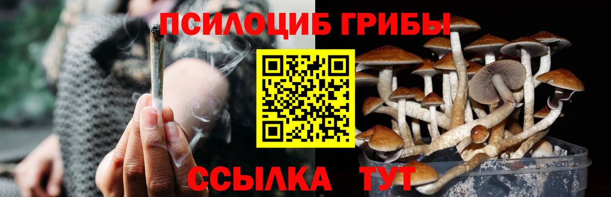 Псилоцибиновые грибы Cubensis  Вход с VPN  Ипатово  Галлюциногенные грибы прущие грибы 